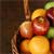 Cheese and Apple Salad